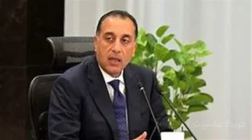 خطوة رسمية.. مصر تدعم إطلاق منصة إلكترونية مشتركة للفرص الاستثمارية مع دول الكوميسا 1